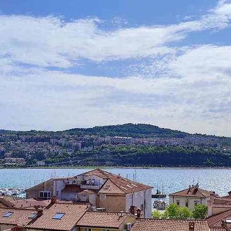 Maestral Koper